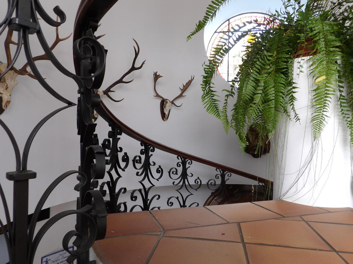 Palacio Donana , Rural & Luxury إل روثيو المظهر الخارجي الصورة