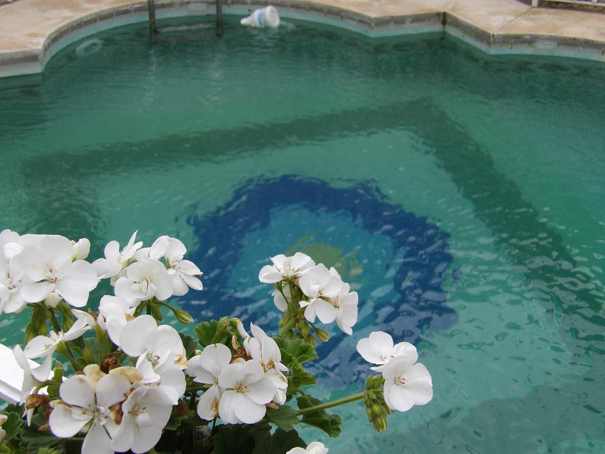 Palacio Donana , Rural & Luxury إل روثيو المظهر الخارجي الصورة