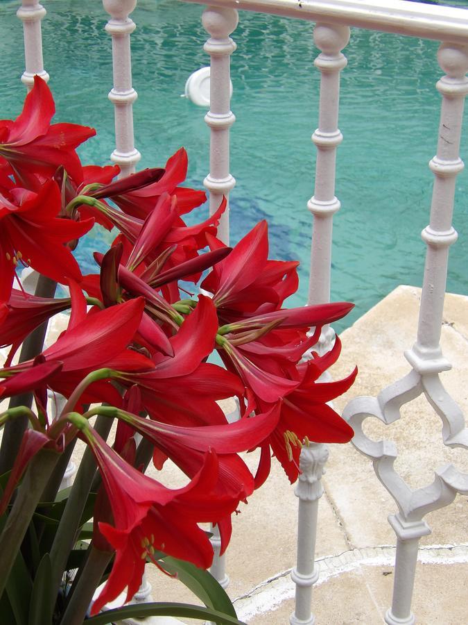 Palacio Donana , Rural & Luxury إل روثيو المظهر الخارجي الصورة